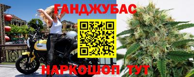 гидра Заволжье