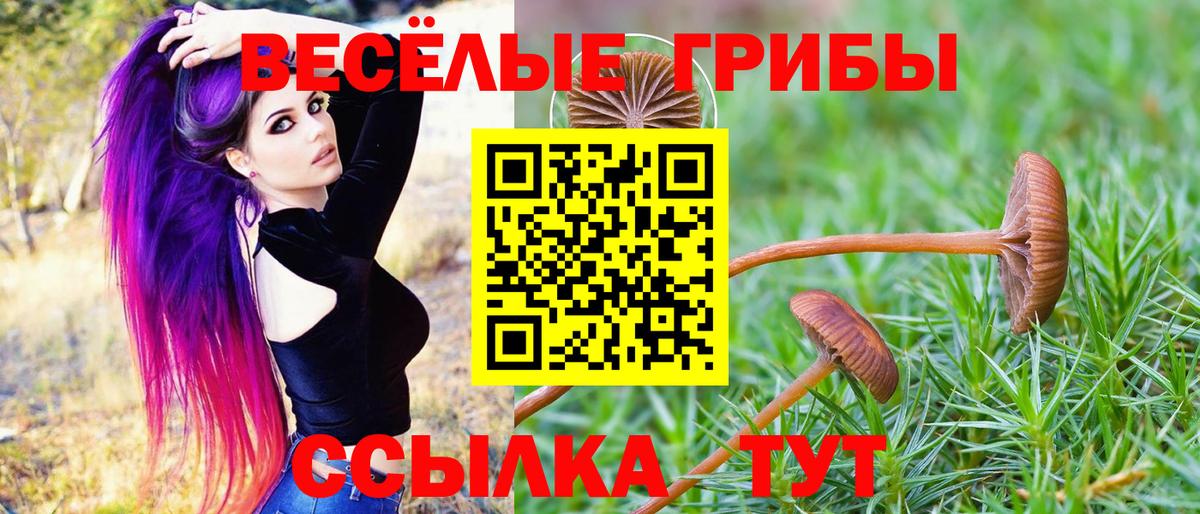 Галлюциногенные грибы прущие грибы Губкинский