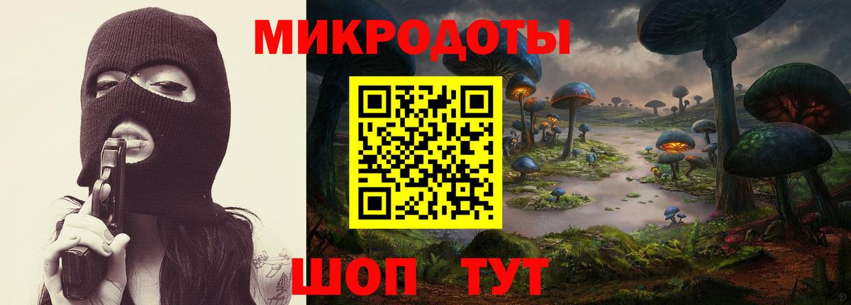 Губкинский  Галлюциногенные грибы Psilocybe  Вход с VPN 